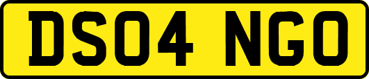 DS04NGO