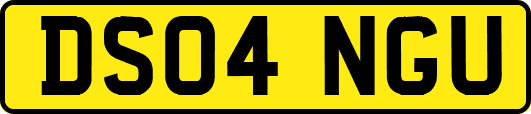 DS04NGU