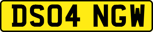 DS04NGW