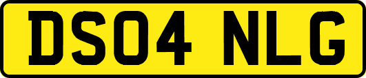 DS04NLG