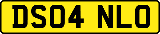 DS04NLO