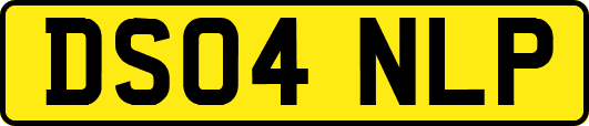 DS04NLP