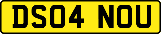 DS04NOU