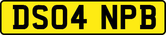 DS04NPB