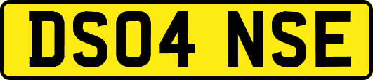 DS04NSE