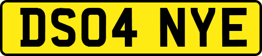 DS04NYE
