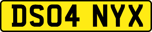 DS04NYX