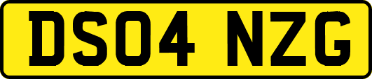 DS04NZG