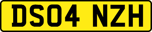 DS04NZH