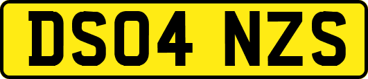 DS04NZS