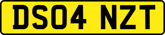 DS04NZT