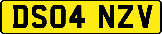 DS04NZV