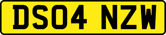 DS04NZW