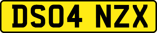DS04NZX