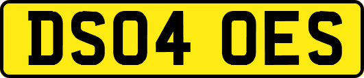 DS04OES