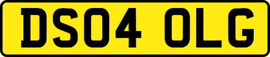 DS04OLG