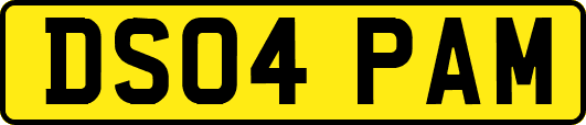 DS04PAM
