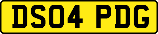 DS04PDG