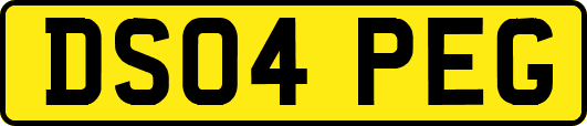 DS04PEG