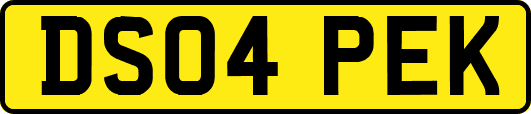 DS04PEK