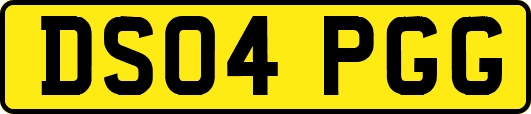 DS04PGG