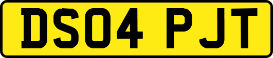 DS04PJT