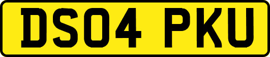 DS04PKU