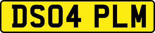 DS04PLM