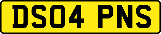 DS04PNS