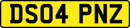 DS04PNZ