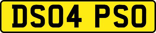 DS04PSO