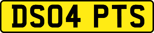 DS04PTS