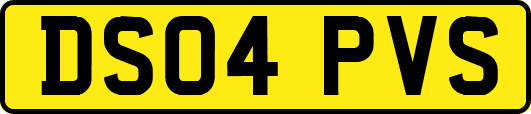 DS04PVS