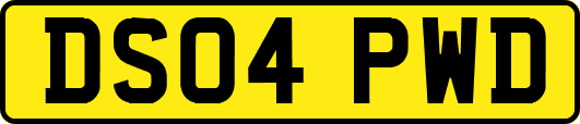 DS04PWD
