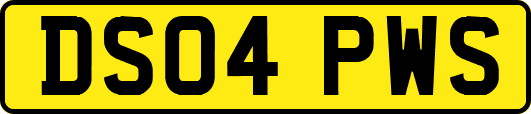 DS04PWS