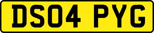 DS04PYG