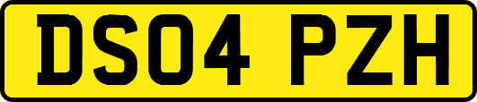 DS04PZH