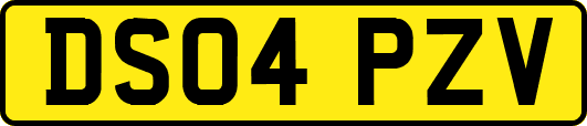 DS04PZV