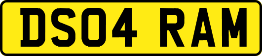 DS04RAM