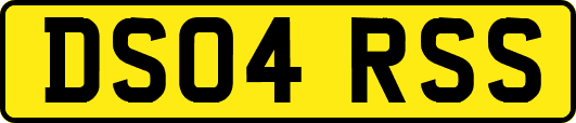DS04RSS