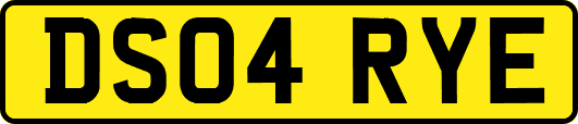DS04RYE