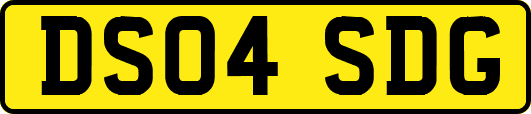 DS04SDG