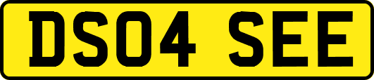 DS04SEE