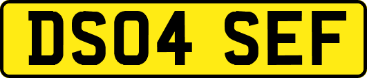DS04SEF