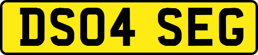 DS04SEG