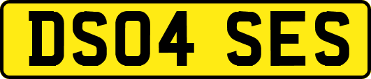 DS04SES