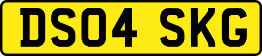 DS04SKG