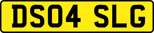 DS04SLG