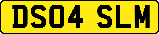 DS04SLM
