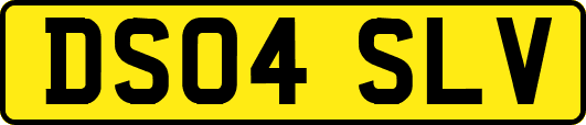 DS04SLV